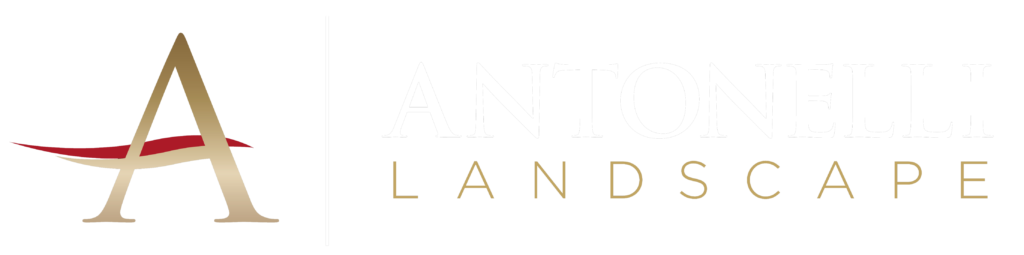 antonelli landscape logo