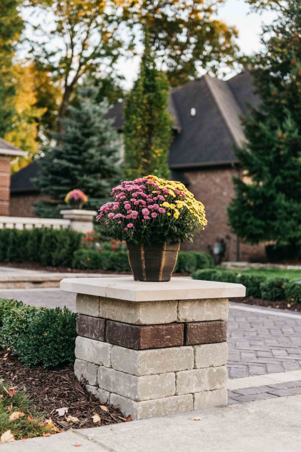 Landscape Design & Installation Shelby Township, MI Front yard pavers Michigan Michigan front yard landscaping with pavers Front yard paving stones in Michigan Front yard hardscape design Michigan Michigan front yard patio pavers Front yard walkway pavers Michigan Front yard paver installation in Michigan Michigan front yard brick pavers Front yard driveway pavers Michigan Michigan front yard paver contractors Front yard paving ideas in Michigan Michigan front yard outdoor living with pavers Front yard landscape design using pavers in Michigan Michigan front yard interlocking pavers Front yard paver repair Michigan Michigan front yard paving cost Front yard paver maintenance in Michigan Michigan front yard retaining wall with pavers Front yard fire pit with pavers Michigan Antonelli Landscape pool spa, pavers near me, unilock pavers, landscaping near me, landscape design, landscaping companies near me, landscaping ideas, Michigan Landscape Design Landscape Design Services in Michigan Professional Landscape Design Michigan Michigan Landscape Architects Best Landscape Designers in Michigan Michigan Residential Landscape Design Custom Landscape Design Michigan Michigan Garden Design Landscape Planning Michigan Landscape Installation Michigan Michigan Landscape Renovation Sustainable Landscape Design Michigan Michigan Landscaping Ideas Michigan Hardscape Design Award-Winning Landscape Design Michigan